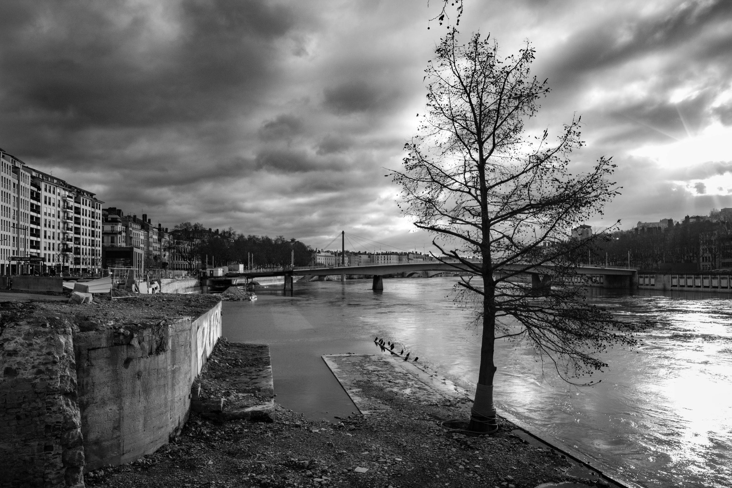 Quai Saint-Antoine in Lyon, monochrome — shot on Pixii